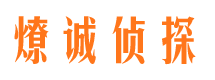 月湖市婚姻出轨调查